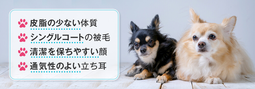 臭くない犬の特徴