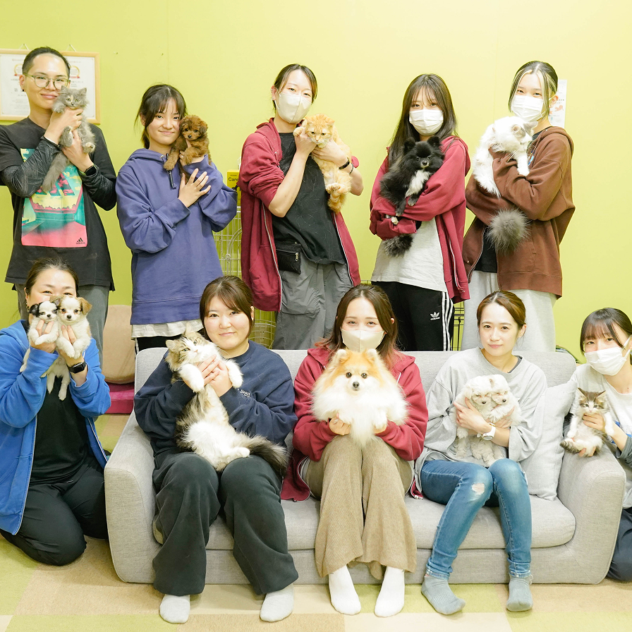 サイトリニューアルのお知らせ