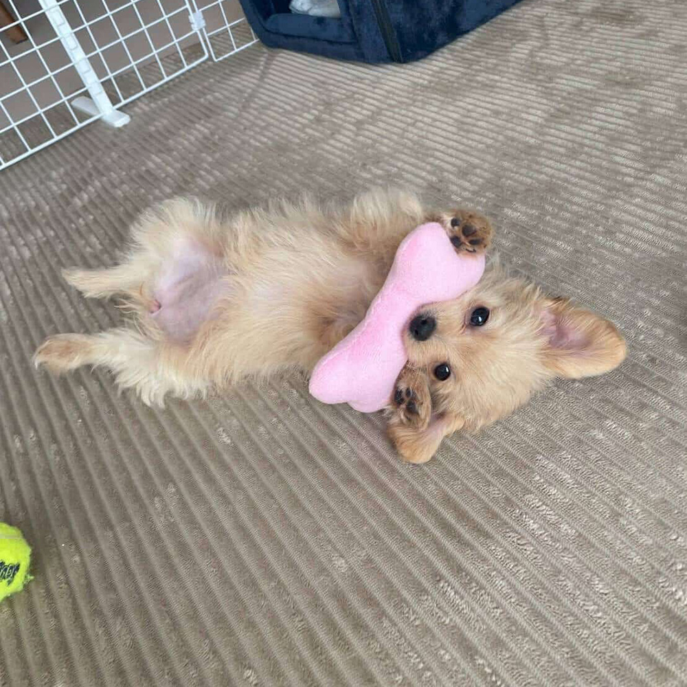 素敵な出会いをいただきまして、本当に有難うございました