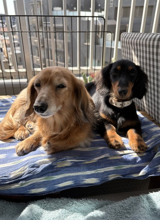 この成長を見れることが幸せです