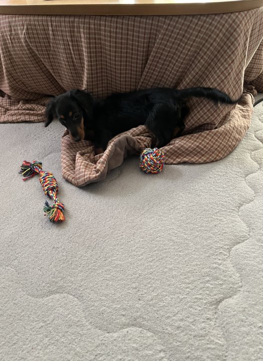 素敵な出会いに感謝しています