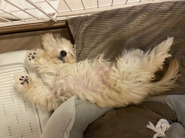 みんながニコニコになります