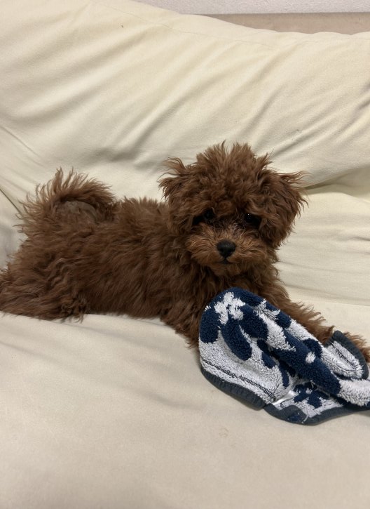 ららに出会えたことに感謝