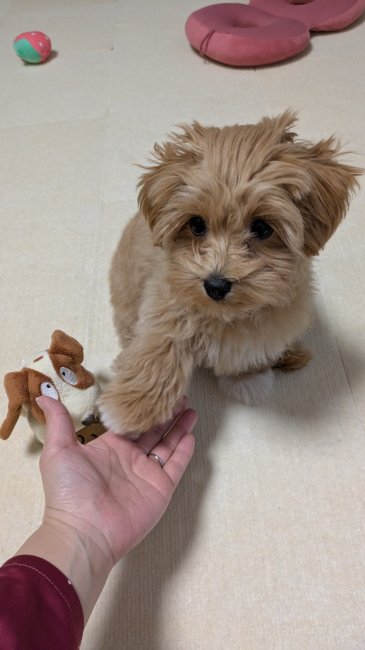 愛嬌たっぷりに育っています