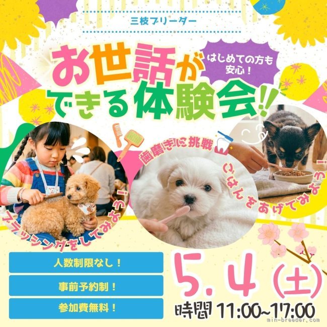 🐶子犬を迎えたいけど不安なあなたへ｜お世話体験会のご案内