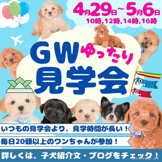 🐶🎏【4/29(水)～5/6(水)は特別な見学会】🎏🐶