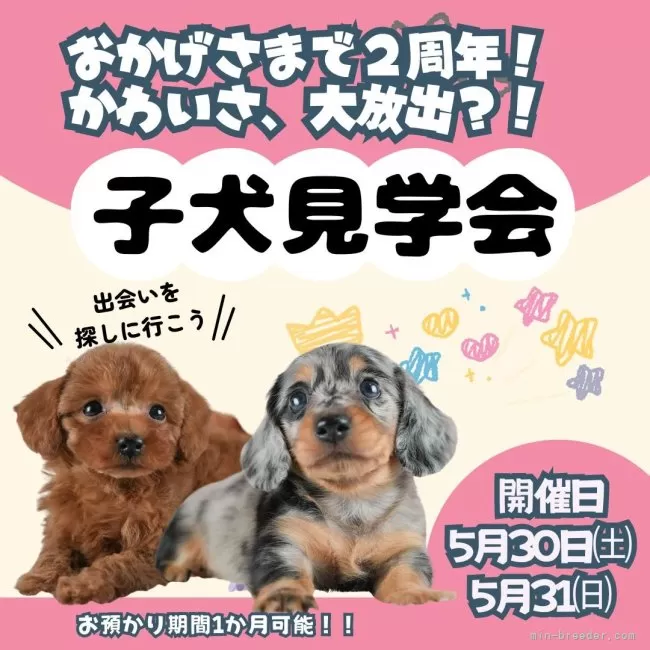 🐶「ちょっと見てみたいかも」で来てOKな見学会です✨～緊急イベント発動！～