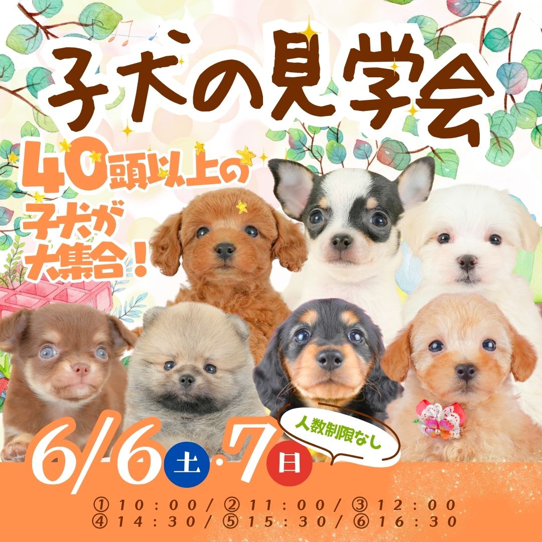 🐶🎉6月1️⃣発目のイベント🎉🐶～”わんちゃんフェス”開催♪～