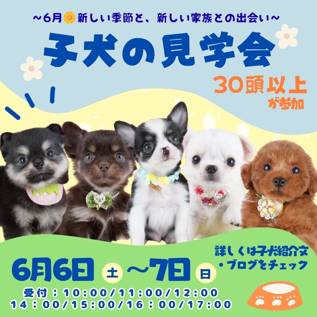 🐶6/6(土)-6/7(日)開催🌟運命の出会いを✨