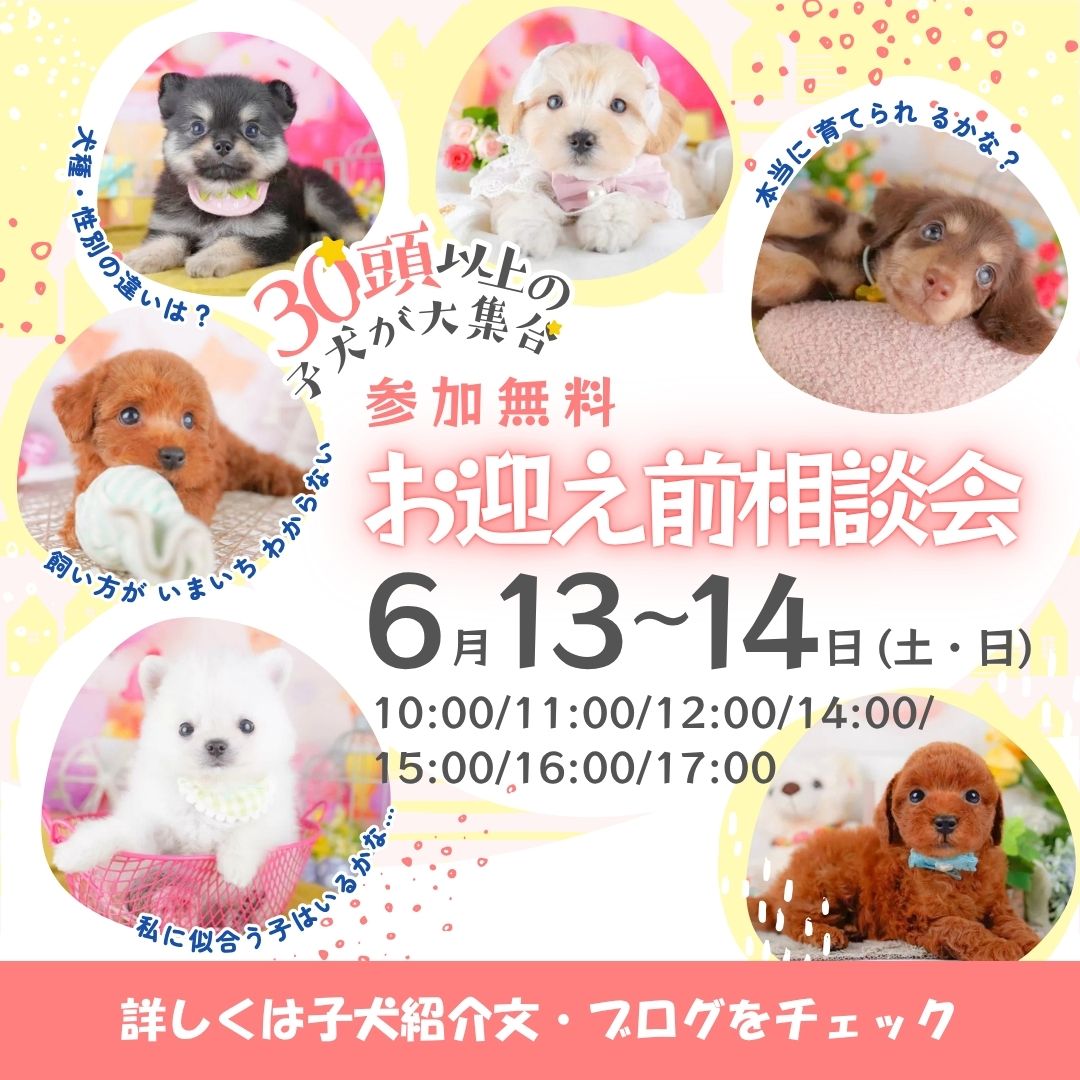 📖6/13(土)-6/14(日)開催✨相談会🐶🏡
