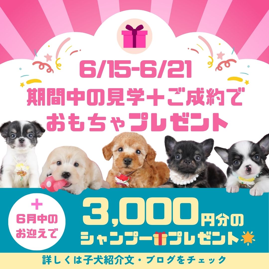 🎁6/15~21限定特典…⁉6/20・21見学会開催🐶🎉