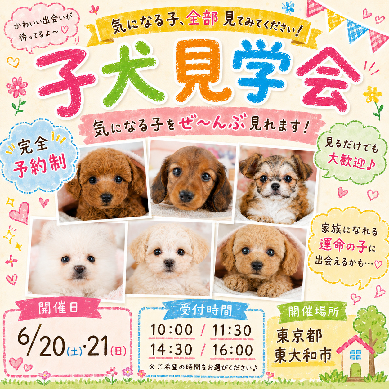 🌈気になる子、全部見てみませんか？