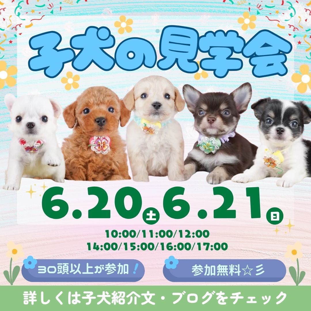 🎁6/15～21限定特典…⁉6/20・21見学会開催🐶🎉
