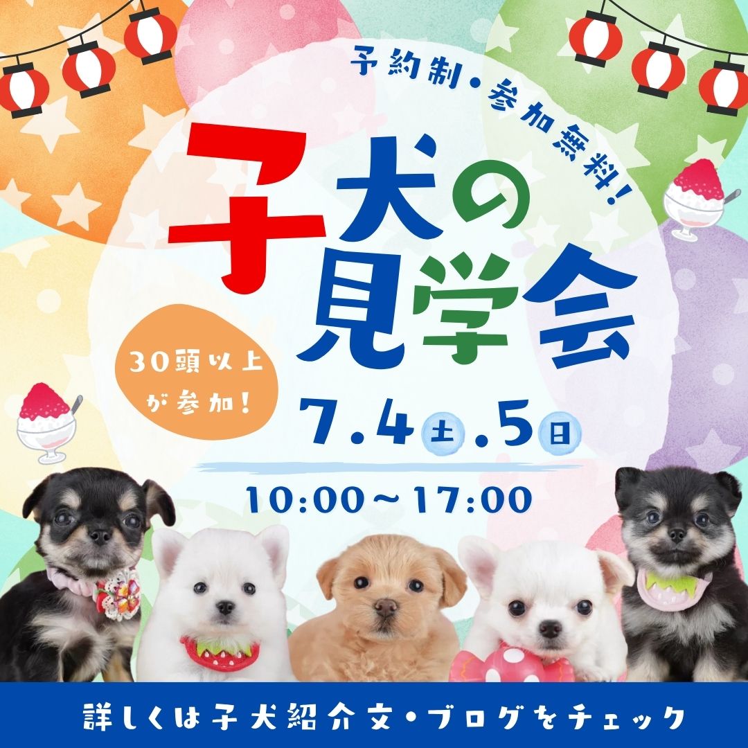🎋7/1-期間限定お迎え割引あり…⁉🎁7/4-5見学会開催🐶✨