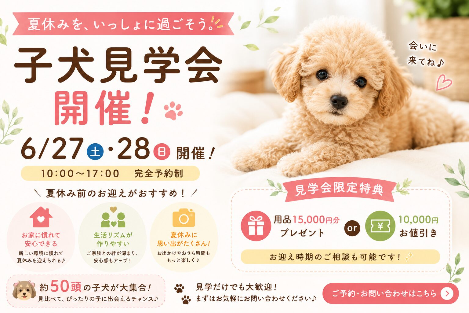 6/27㈯・6/28㈰ 子犬見学会開催🐶✨