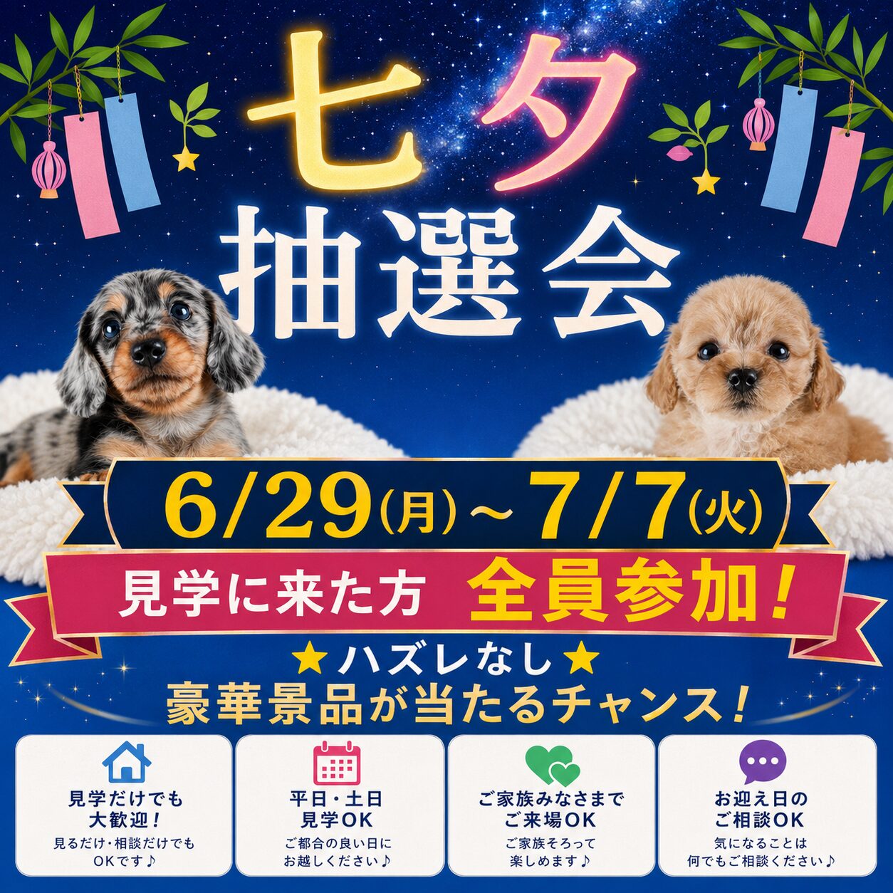 🎋七夕特別イベント💖豪華景品抽選会開催✨ご見学で抽選参加OK🎶