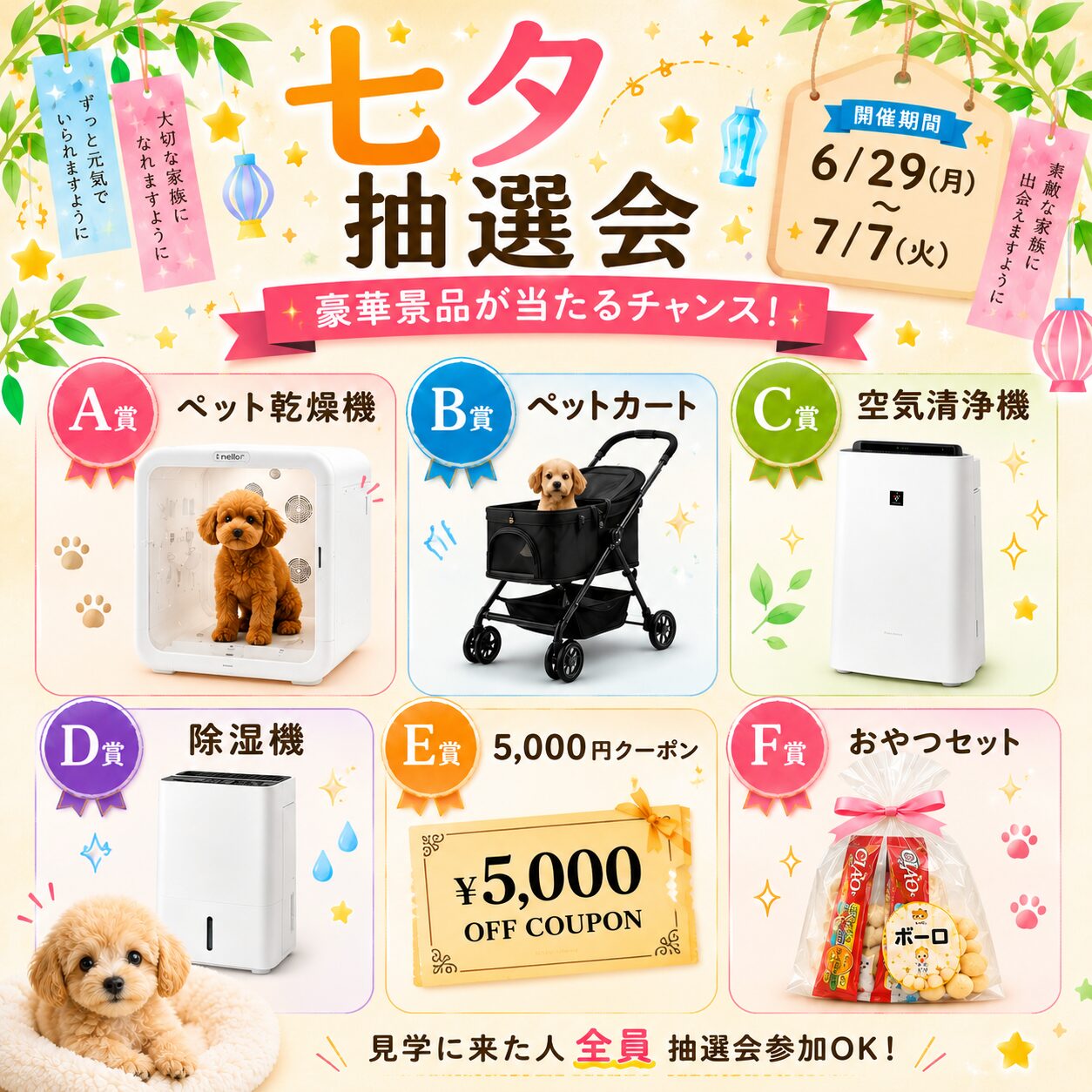 🎋七夕特別イベント💖豪華景品抽選会開催✨ご見学で抽選参加OK🎶