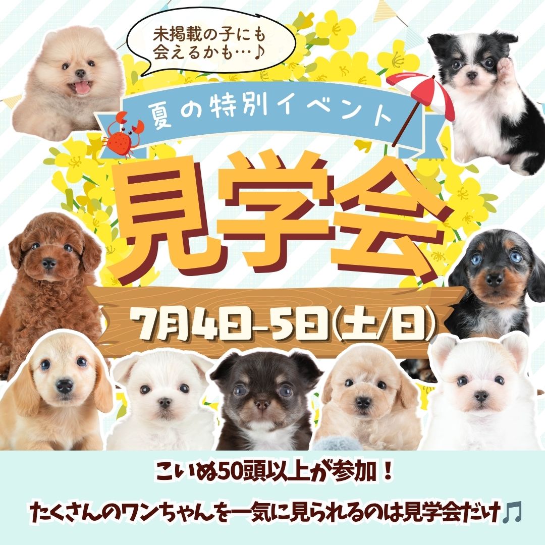 🌻7/4・5見学会開催！＠埼玉県春日部市：運命の子と出会う初夏の特別見学会✨