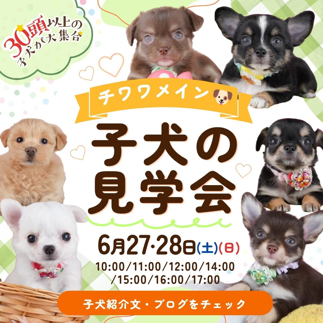 🎉6/22～大好評につき延長決定‼🐶💕🎁6月限定特典…⁉✨