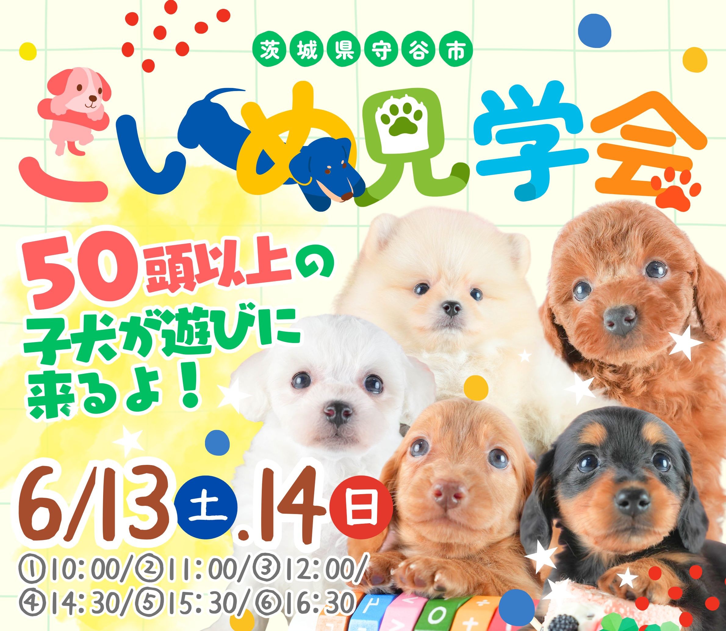 6/13㈯14㈰限定！約50頭見学会🌟