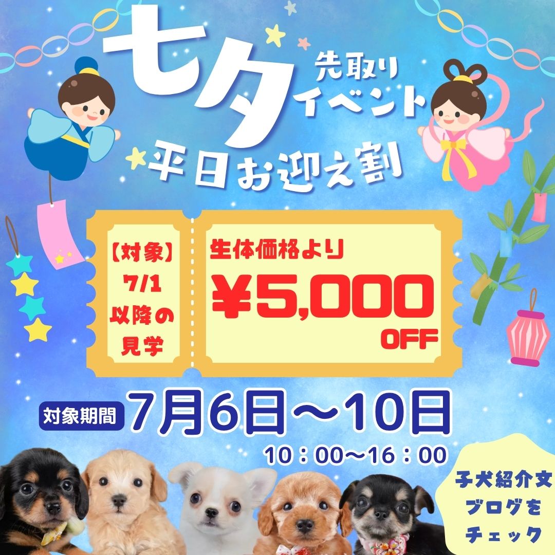 🎋7/1-期間限定お迎え割引あり…⁉🎁7/4-5見学会開催🐶✨