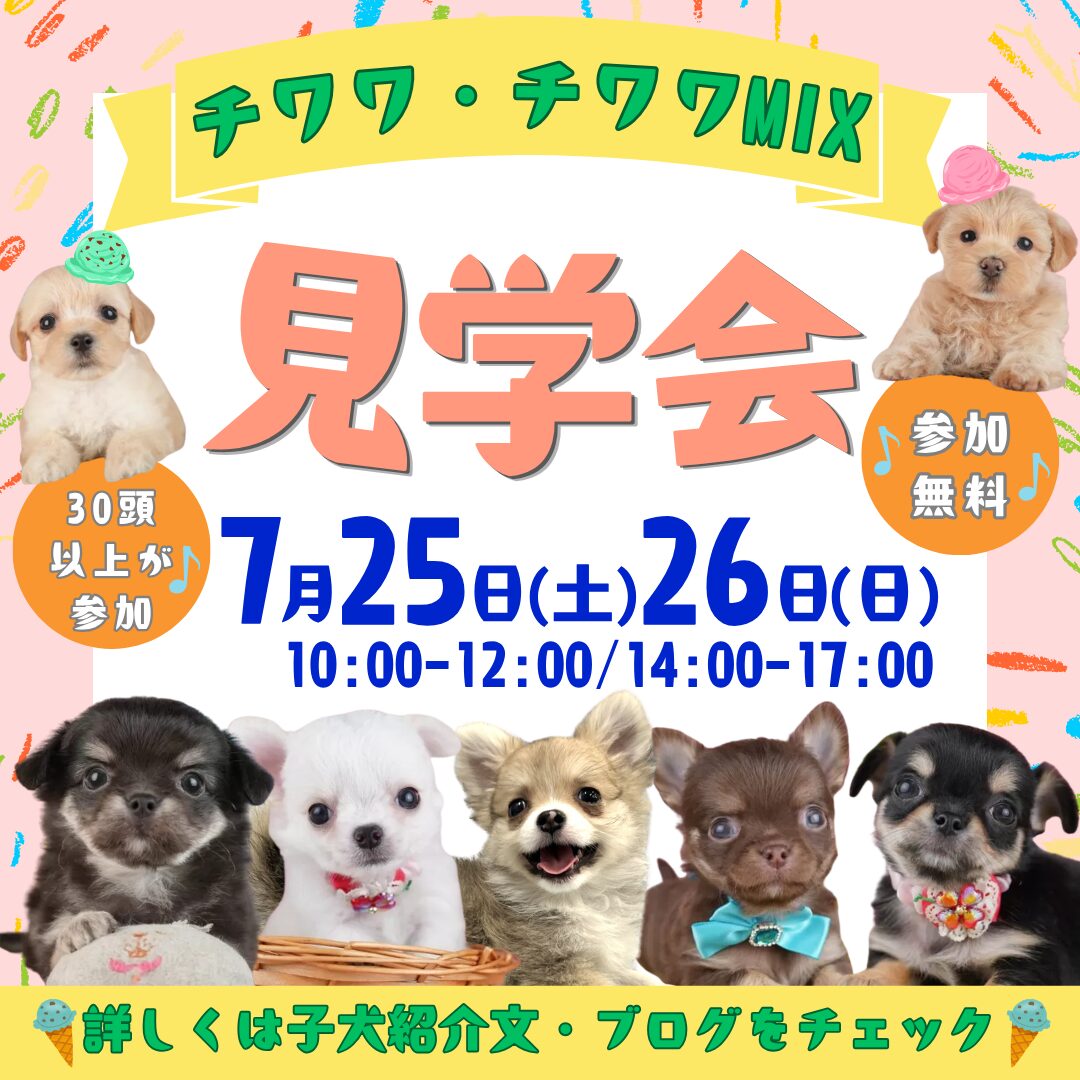 7/25-26🐶新入りちゃんにいち早く会えるチャンス🌟な見学会🌻