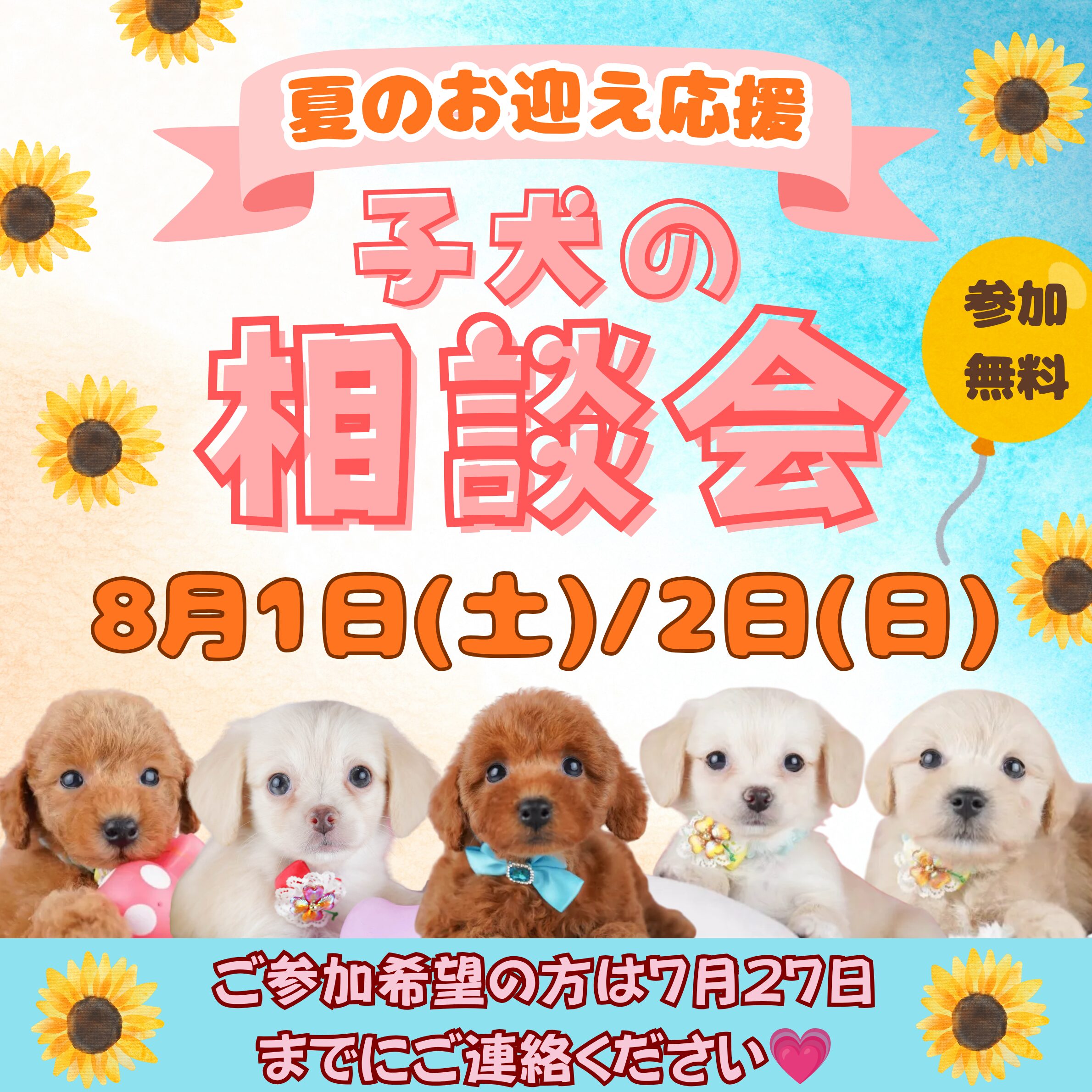 🐶8月1日(土)-2日(日)開催🎉相談会では何ができるの？✨