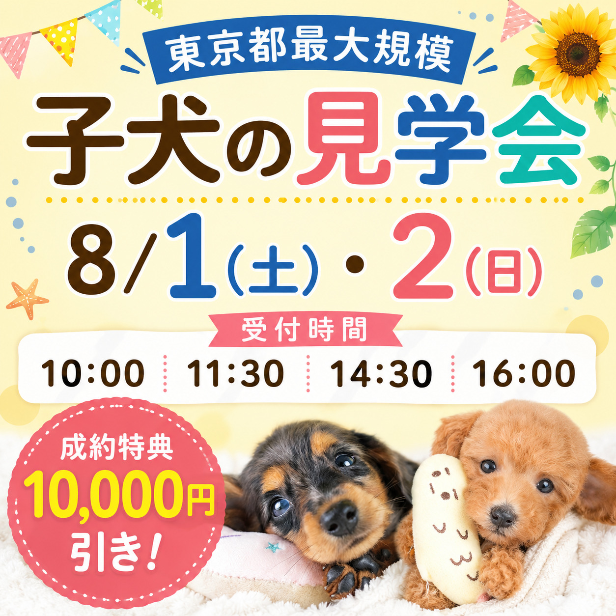☀️8月の見学会に行こう！この夏、【この子】と思う子に出会ってみませんか？🌻