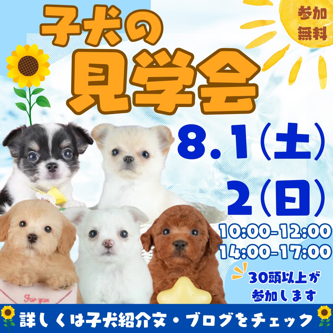 8/1-2🐶新入りワンちゃんにいち早く会える✨週末見学会🐶🏖️