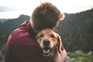 人懐っこい犬の犬種とは？特徴や人懐っこい犬の育て方を解説