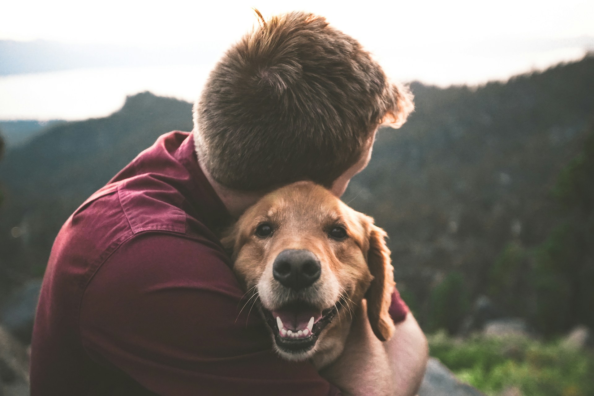 人懐っこい犬の犬種とは？特徴や人懐っこい犬の育て方を解説