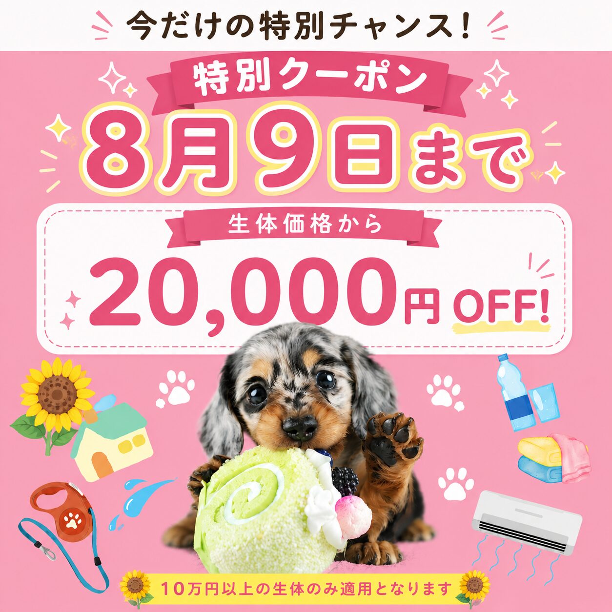 【特別✨】2万円オフクーポン🎟️見学にお越しいただいた方対象✨
