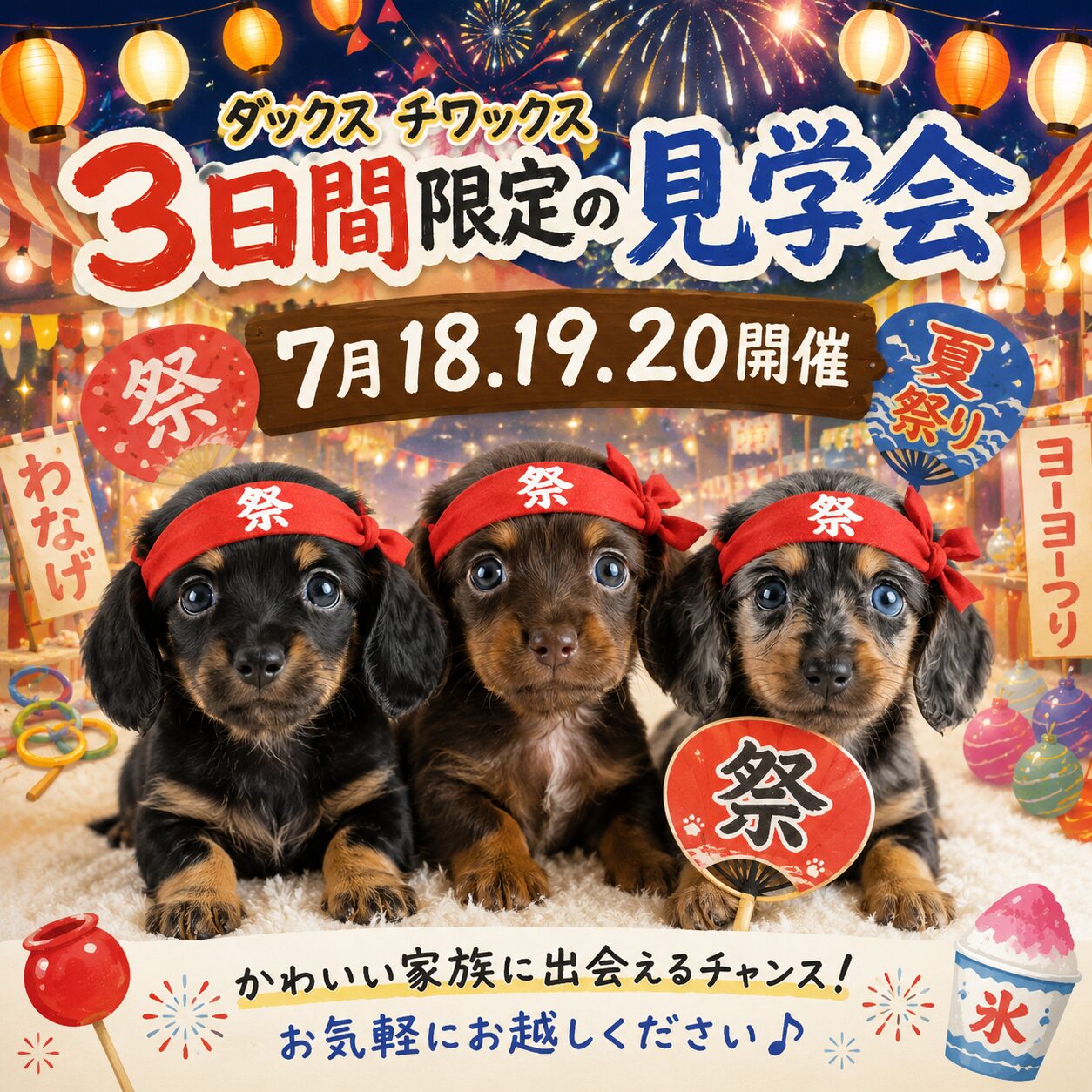 ダックス好き必見✨7/18-20見学会開催🐾