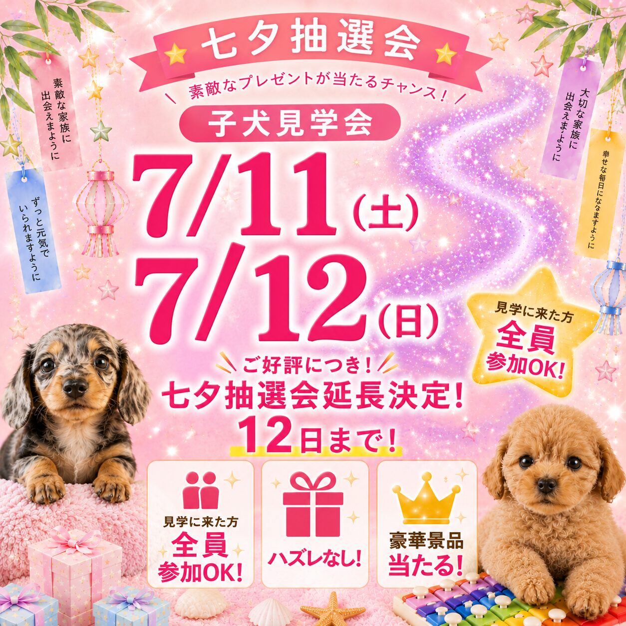7/11㈯12㈰見学会🐶七夕抽選会も延長🎋豪華景品有り🎁