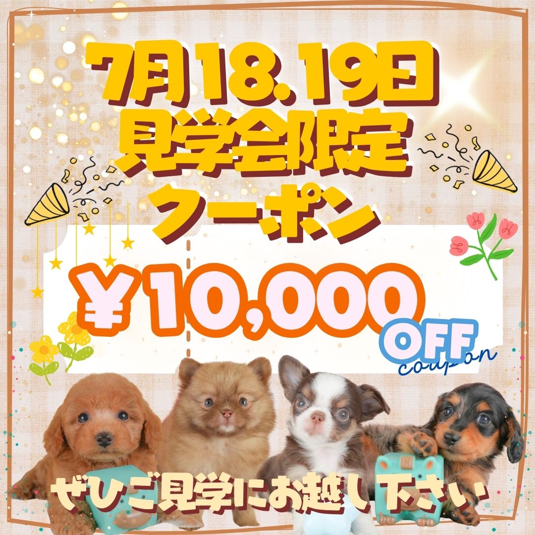 【前橋市】夏休みのお迎えにもおすすめ🍉7/18・19限定 子犬見学会開催🐶