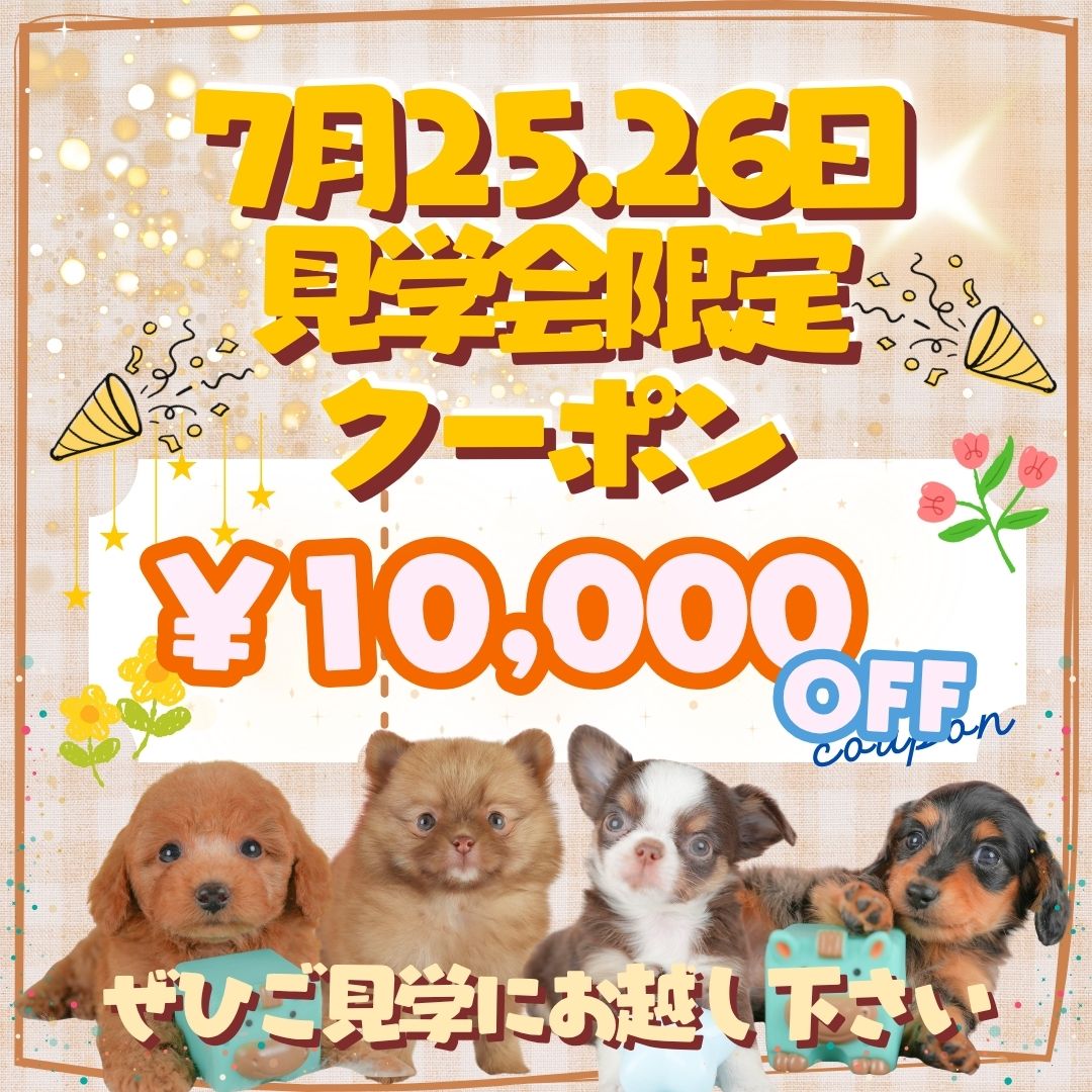 【群馬県前橋市】🌟7月25日(土)・26日(日)限定🌟石橋ブリーダー子犬見学会開催🐶✨