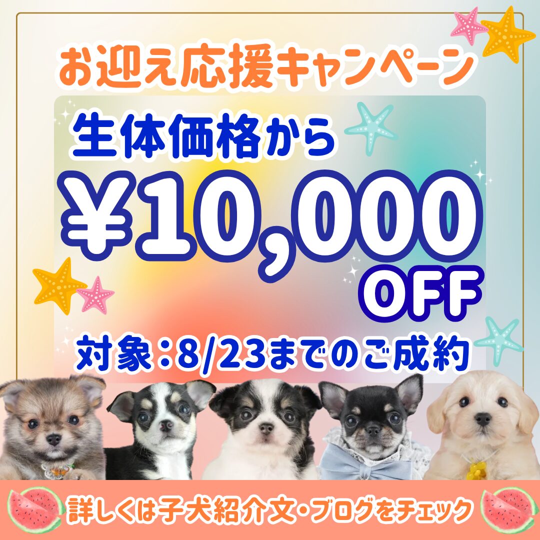 ~6/23まで‼大好評につき内容を変えて特典キャンペーン中🎁⁉🐶🌻