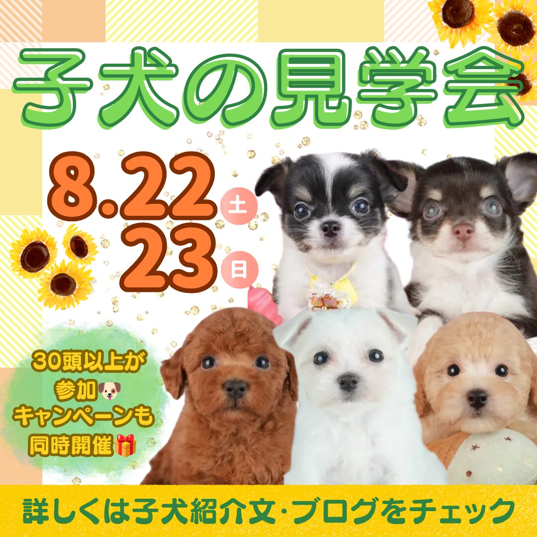 ～6/23まで‼大好評につき内容を変えて特典キャンペーン中🎁⁉🐶🌻