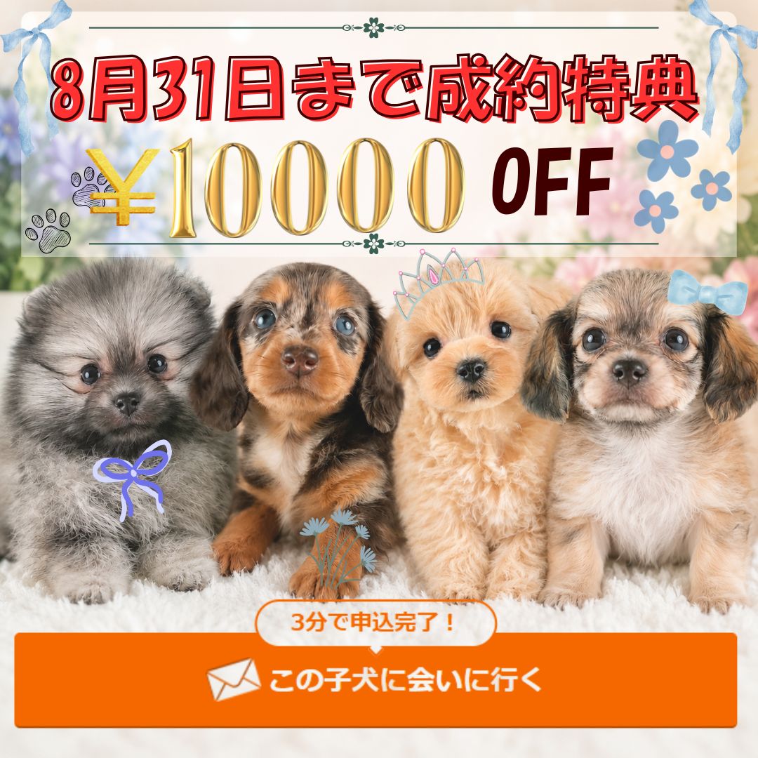 【守谷市📢】8月31日まで✨成約特典1万円引き🎉