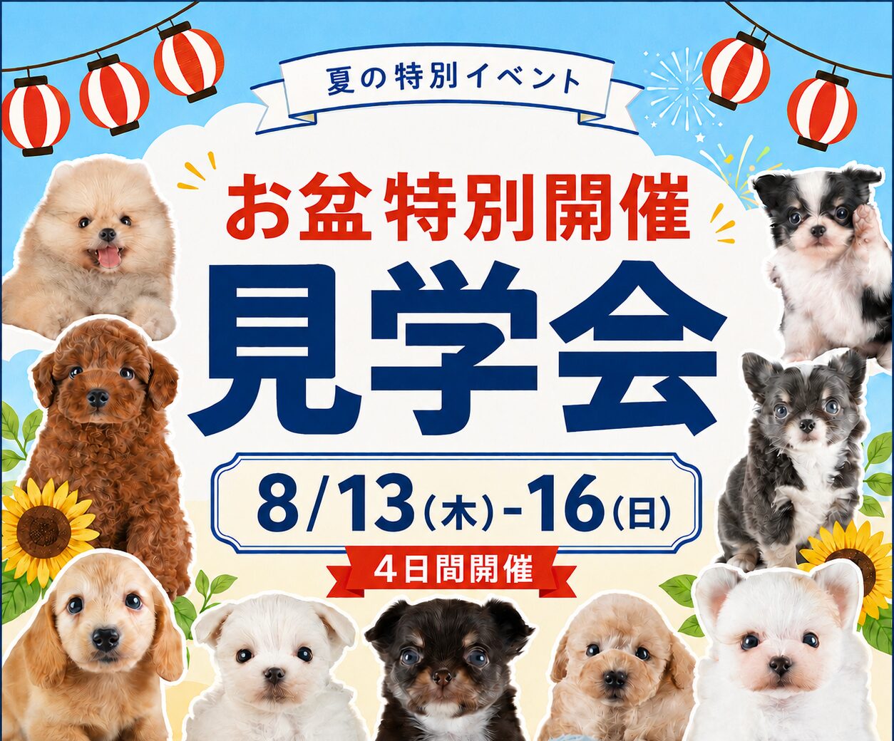 【春日部市】🌻8月13日(木)〜16日(日) お盆特別 こいぬ見学会開催！🐶🍉