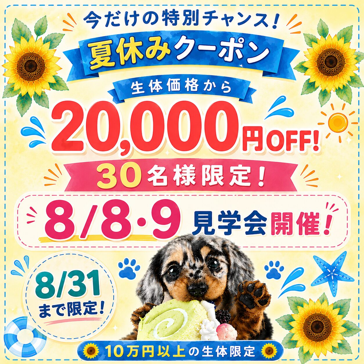 【守谷市で特別開催✨】30名様限定2万円オフ🎟️8/8㈯.9㈰見学会も対象✨