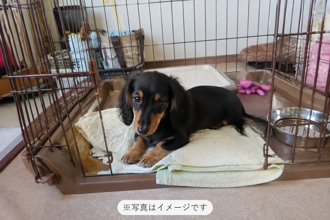 アフターまでしっかりしていて助かります