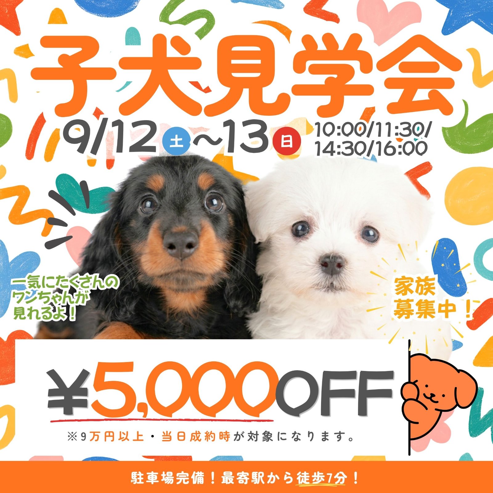 第1回子犬見学会開催🐾