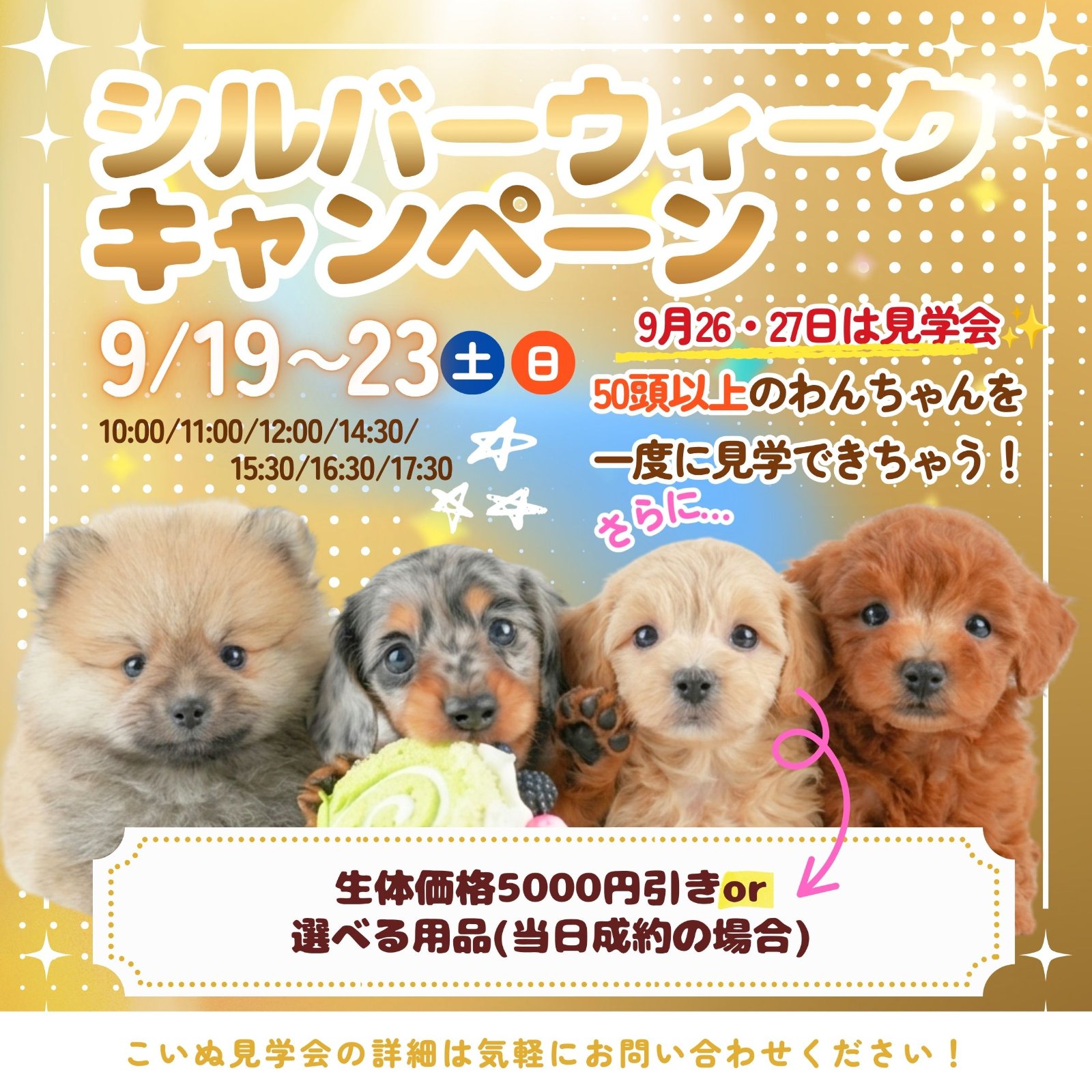 9/19日㈯～23日㈬成約特典あり✨26㈯.27㈰は見学会も🐶💖