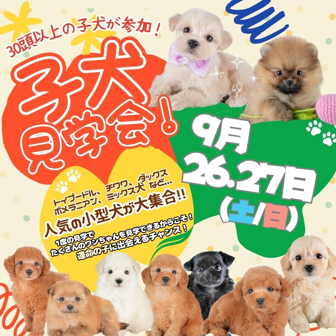 9/26.27限定🐶秋のわくわくこいぬ見学会🍂＠宇都宮市