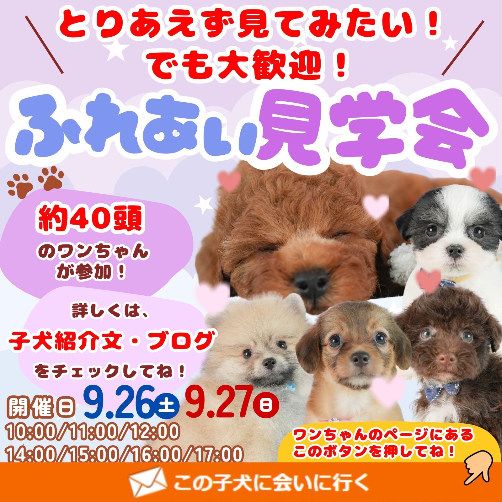 🍂🐶【9月25日・26日開催】🐶🍂 ＼ 秋のふれあい見学会 ／