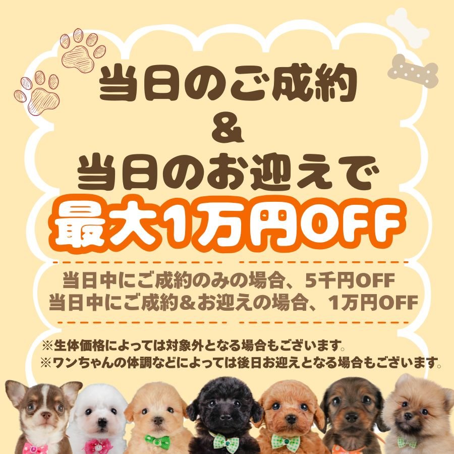 🍂🐶【9月25日・26日開催】🐶🍂 \ 秋のふれあい見学会 /