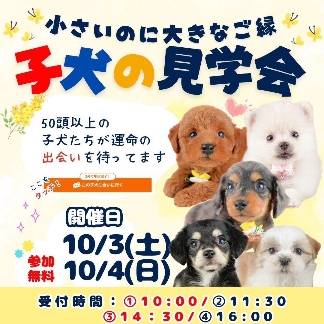 東京都最大規模！気になるを全部叶える見学会🐾