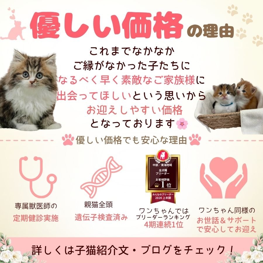 約40頭の子犬ちゃんが参加🐶🍼10月3日、4日開催✨こいぬの見学会🐕❣️