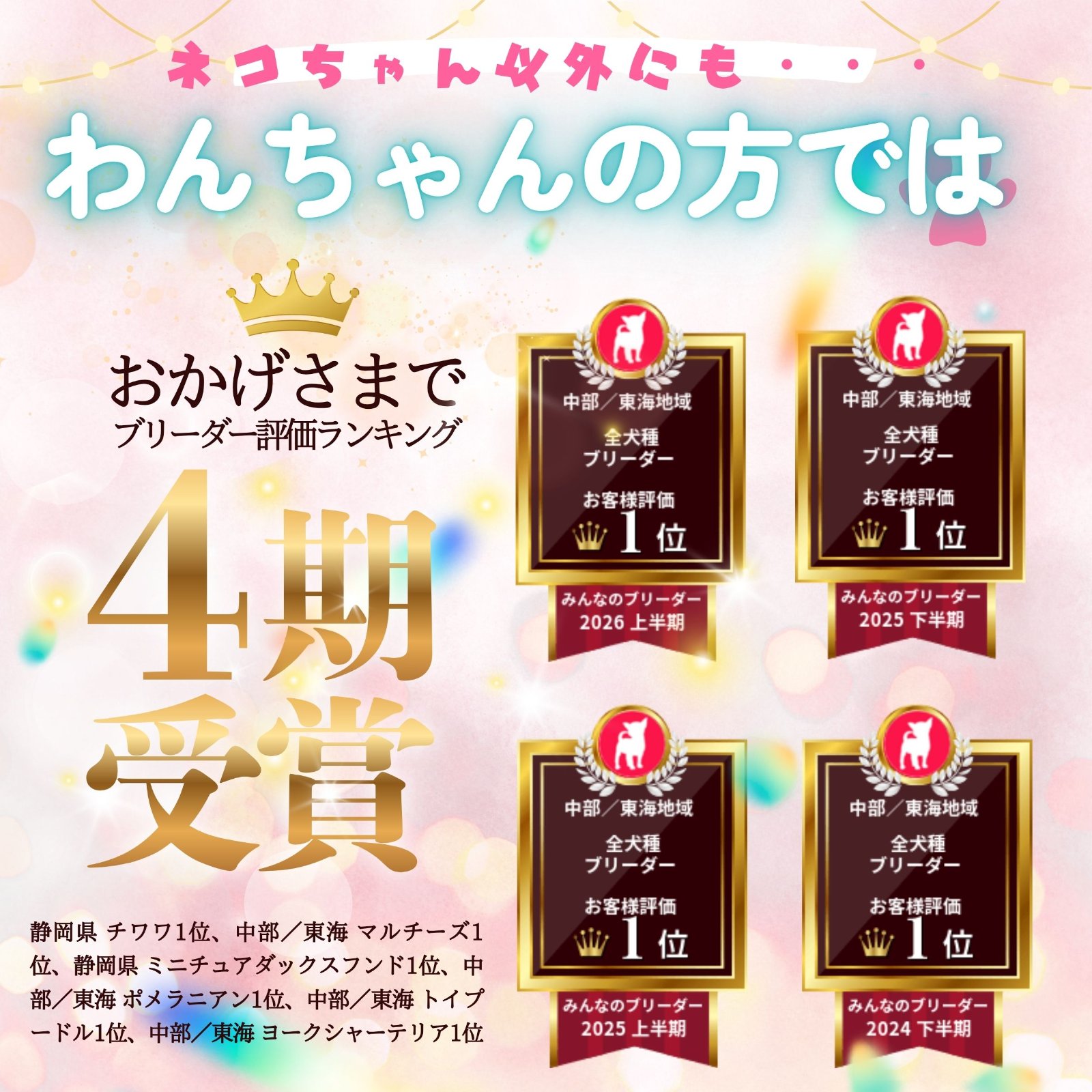 約40頭の子犬ちゃんが参加🐶🍼10月3日、4日開催✨こいぬの見学会🐕❣️